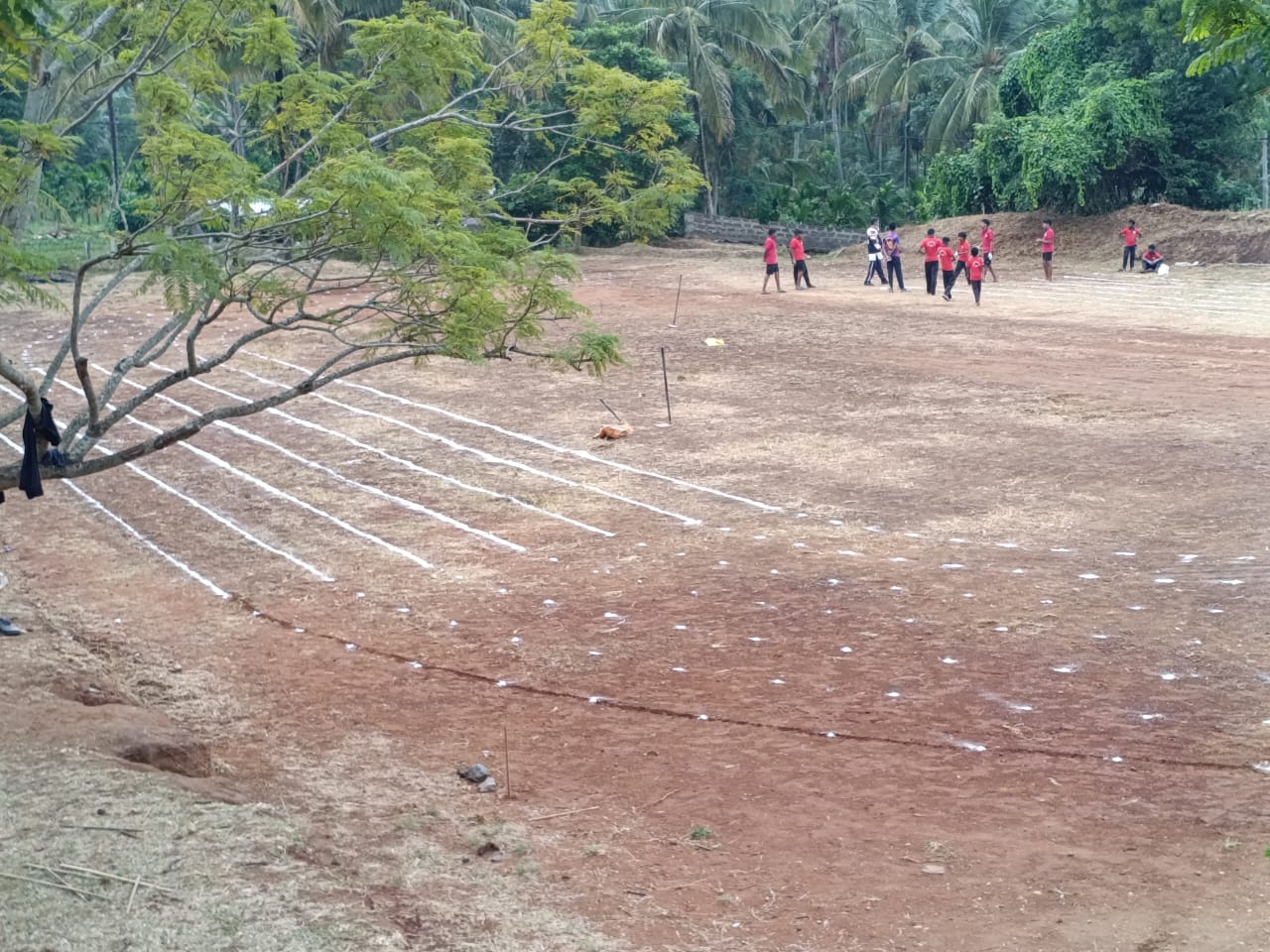 Sports & Playground